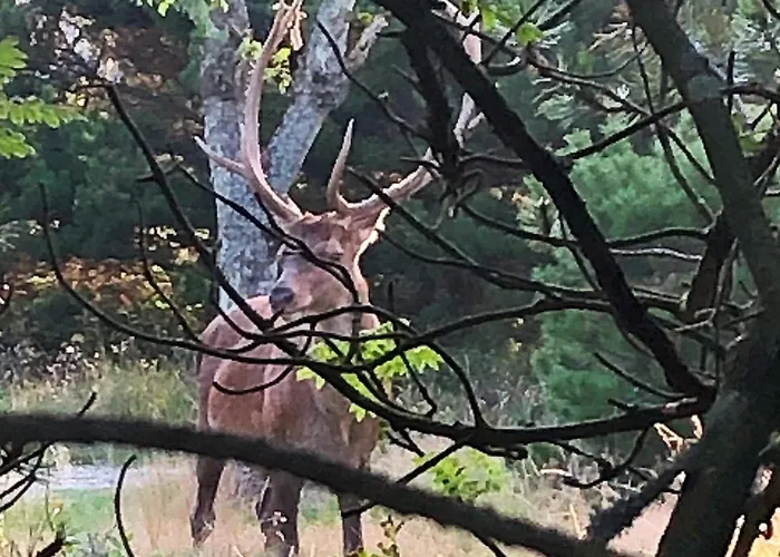 Σπίτι διακοπών Luxury Retreat With Pool - By Traum